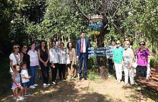 Kadıköy ostanlarında hasat zamanı