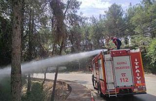 Kadirli’de çamlık alanda çıkan yangın büyümeden...