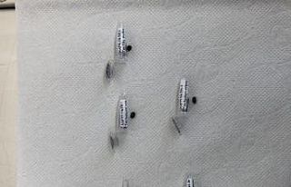 KAEÜ Araştırma Görevlisi Tohum DNA Projesiyle...