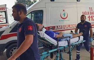 Kamyonetle hafif ticari araç çarpıştı: 2 yaralı