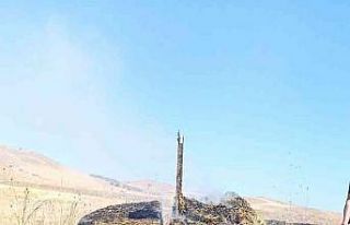 Kamyonla birlikte 60 bin TL’de yandı