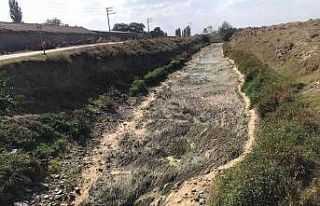 Kanal tabanındaki yosunlar tepki çekti