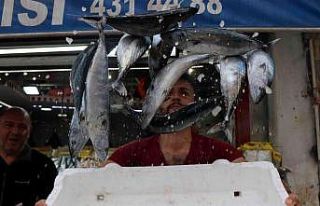 Karadeniz’de balık patlaması