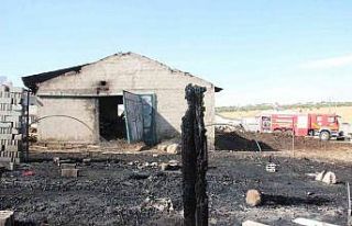 Karaman’da ahır yangınında 5 büyükbaş hayvan...