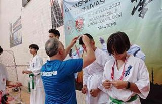 Karatecilerden 3 madalya