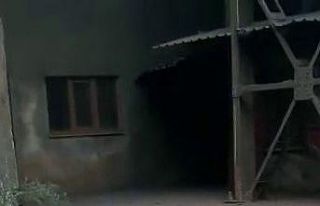 KARDEMİR içerisindeki tilki böyle görüntülendi