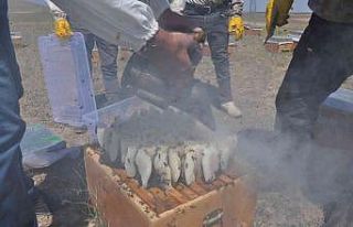 Kars’ta 26 yıldır dede mesleği arıcılık yapıyor