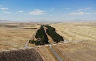 Kars’ta bozkırın ortasındaki ‘vaha’ büyülüyor