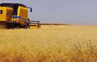 Kars’ta emekler ekmeğe dönüşüyor