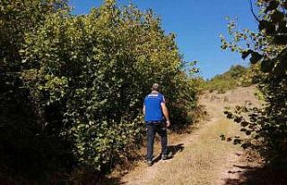 Kaybolan yaşlı adam 2 gündür aranıyor