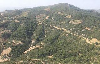 Kayıp avcıyı arama çalışmalarına Jandarma Helikopter...