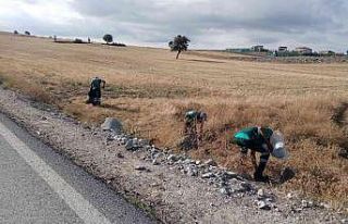 Keçiören’de ‘Doğayı Temizleme Timi’ görev...