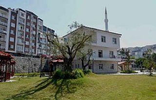 Kesilmekten kurtarılan ağaçlar parklara dikiliyor