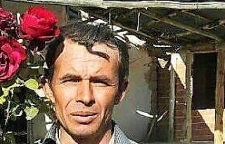 Kestiği ağacın altında kalan orman işçisi hayatını...