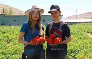 Kimyager kızlar tarlaya indi, verim arttı