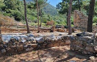 Kissebükü’nde Cumhurbaşkanlığı kararnamesi...