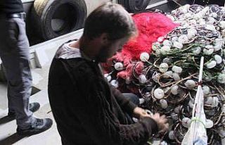 Kıyıköylü balıkçılara karayel engelli