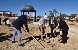 KMÜ’de bin 500 fidan toprakla buluştu