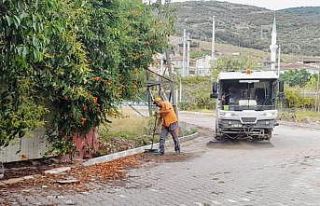 Körfez’de sonbahar temizliği başladı