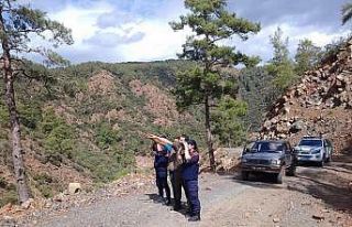 Köyceğiz’de av koruma ve kontrol faaliyetleri...