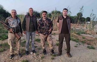 Köyceğiz’de kaçak avcılıkta kullanılan ses...