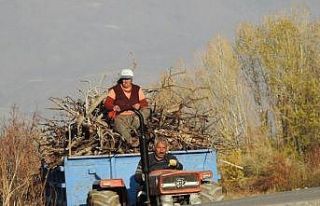 Köylerde kışlık odun hazırlığı