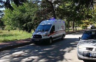 Kozalak toplamak için çıktığı ağaçtan düştü