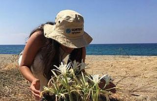 Kum zambağını koparana 220 bin TL’ye varan ceza...