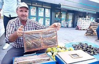 Kursta öğrendiği arıcılıkla meslek sahibi oldu