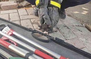 Kurtarıldıktan sonra ikinci kez motor kısmına...