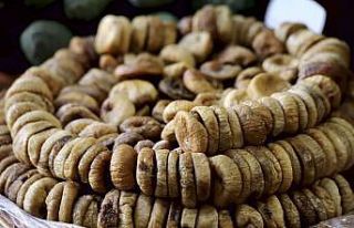 Kuru incirde ilk gemi tarihi 7 Ekim oldu