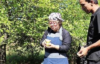 Kusursuz kafe personeli elma topladı