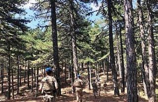 Kütahya ve ilçelerinde orman yangınları ile mücadele...