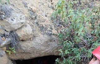 Kuyuda mahsur kalan kaplumbağaları AKUT ekipleri...