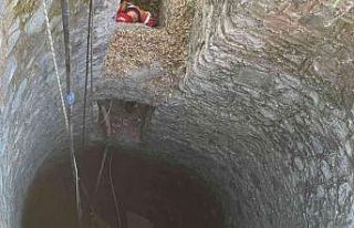 Kuyuya düşen buzağı kurtarıldı