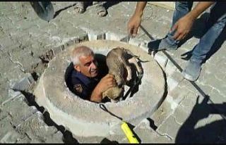 Kuyuya düşen yavru köpek kurtarıldı