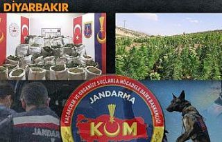 Lice’de Eren Abluka-34 ile terörün finans kaynağına...