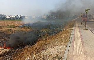 Mahalle arasında çıkan anız yangını söndürüldü