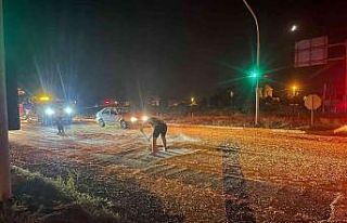 Makaslayan tırdan 2 ton mısır yola saçıldı