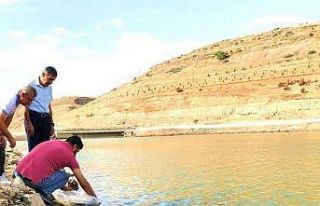 Malatya’daki göletlere 2 milyon yavru balık