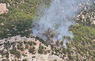 Manisa’da çıkan orman yangınına çok sayıda...
