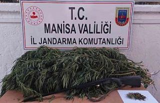 Manisa’da uyuşturucu operasyonları: 1 kişi tutuklandı