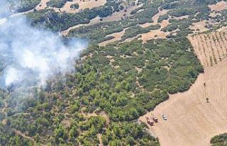 Manisa’daki orman yangını kontrol altına alındı