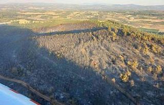 Manisa’daki yangın kontrol altına alındı