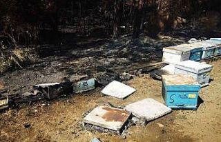 Marmaris’teki yangında 1 kişi gözaltına alındı