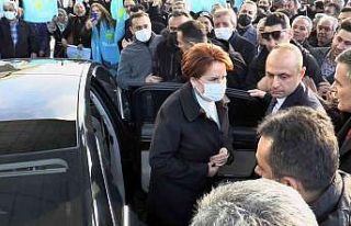 Meral Akşener hakkında suç duyurusu