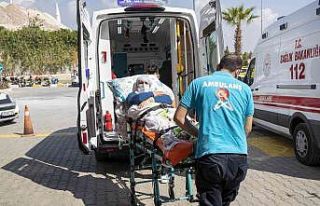 Mersin Büyükşehir Belediyesinden, yılda 10 bin...