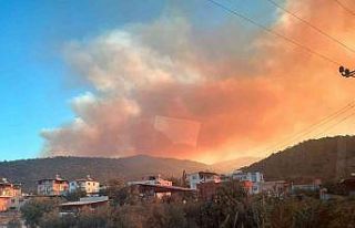 Mersin’de orman yangını: Havadan ve karadan müdahale...