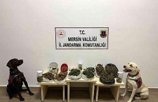 Mersin’de uyuşturucu operasyonu