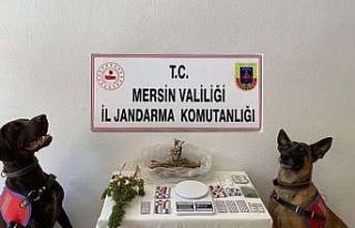Mersin’de uyuşturucu operasyonu: 1 tutuklama